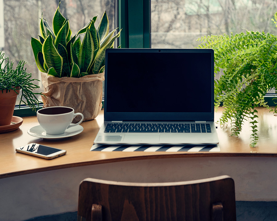 Laptop on a desk with plants for online therapy for indivduals